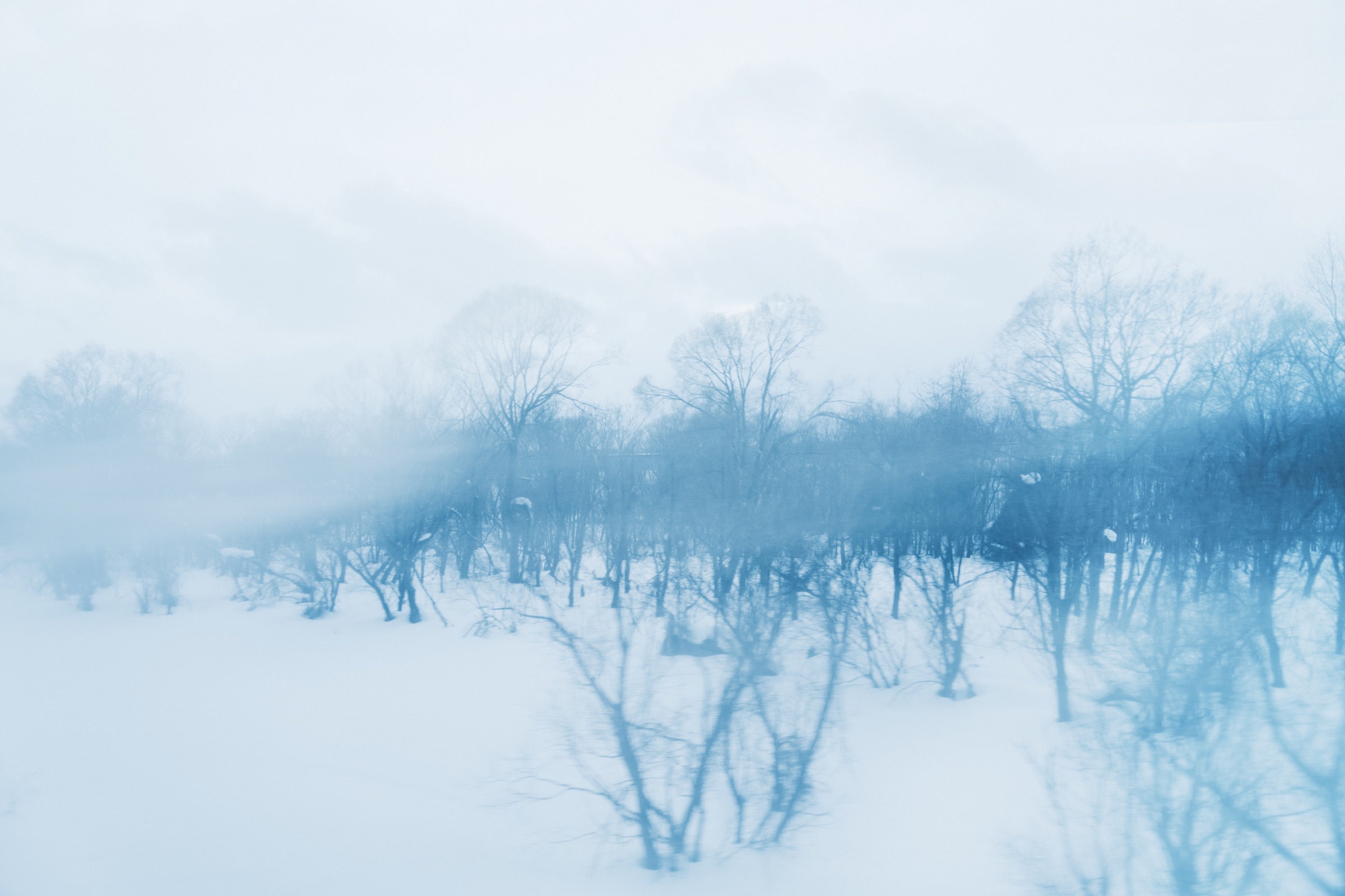 Fine-art photograph by Mario Wong